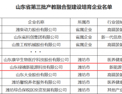 喜報！山東祿禧新能源科技有限公司獲批山東省第三批產教融合型企業